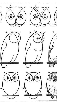 Diy Owl Painting, Painted Owl Rocks Easy, Owl Doodle Art, Drawing Owls Easy Step By Step, Owl Illustration Simple, Painted Owls On Wood, Simple Owl Drawing, Simple Animal Drawings, Owl Drawing Simple