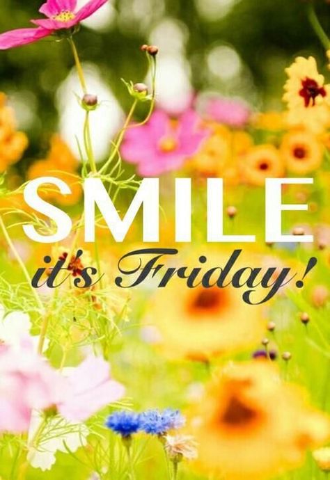 Friday Wishes, Friday Images, Good Morning Friday, Happy Friday Quotes, Happy Week End, Weekend Quotes, Weekday Quotes, Finally Friday, Hello Friday