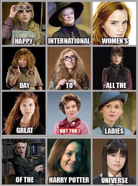 Harry Potter Means, Citate Harry Potter, Stile Harry Potter, Glume Harry Potter, Harry Potter Girl, Tapeta Harry Potter, Funny Harry Potter Jokes, Happy Happy Happy, Harry Potter Memes Hilarious