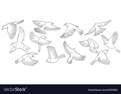 How To Draw Birds Flying, Flying Birds Tattoo Design, Birds Flying Drawing, Bird Drawing Flying, Flying Bird Drawing, Drawing Sitting, Birds Flying Away, Birds Drawing, Book Drawings