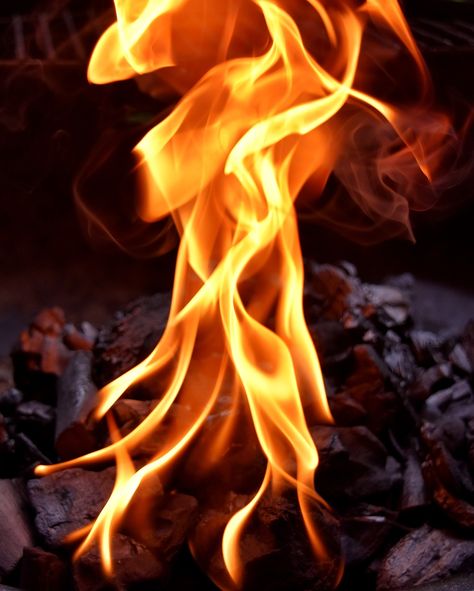 Fire, Flame, Carbon, Burn, Hot, Mood, Campfire Flame Images Fire, Fire Reference, Chaos Aesthetic, Fire Pics, Predator Alien Art, Fire Flames, Burning Fire, Flame Art, Fire Flame