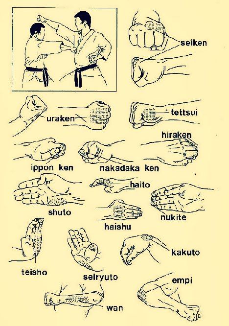 karate striking terminology .... Something i need to improve :/ Karate Techniques, Martial Arts Sparring, Karate Shotokan, Conquer Fear, Goju Ryu, Kyokushin Karate, Shotokan Karate, Kung Fu Martial Arts, Self Defense Martial Arts