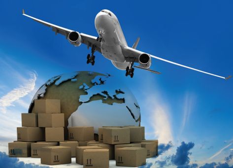 When we think of air freight, we consider goods such as food, plants, FMCG products etc. – all of which have less shelf life or need an urgent delivery. #AirFreight #Agility Cathay Pacific Airlines, Customs Broker, China Airlines, Air Freight, Cathay Pacific, Cargo Services, Passenger Aircraft, Freight Forwarder, Ocean Freight