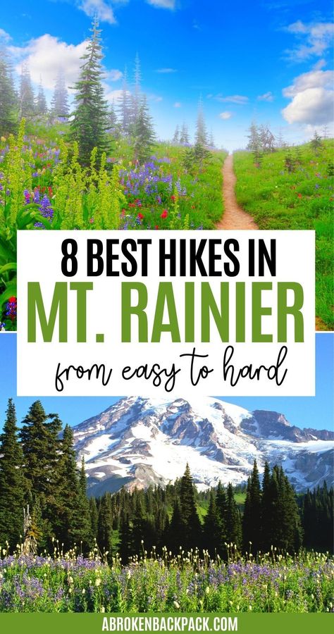 Want to hike in Mt Rainier National Park? Discover the most beautiful hikes in Mt Rainer (including easy and hard ones). These hiking trails in Mt Rainier are incredibly beautiful and are going to help you get those steps in! Read our guide to find the best hikes in Rainier and start planning your hiking trip now! Click the link to learn more. Washington State Hikes, Wonderland Trail, Pacific Northwest Travel, Washington State Travel, Mt Rainier National Park, Hiking Places, Washington Hikes, Washington Travel, Beautiful Hikes