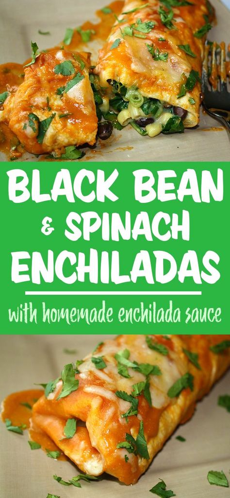 Black Bean Spinach Enchiladas Enchiladas Vegan, Garden Grazer, Spinach Enchiladas, Vegetarian Enchiladas, Homemade Enchilada Sauce, Vegan Mexican Recipes, Homemade Enchiladas, Plant Based Diet Recipes, Tasty Vegetarian Recipes