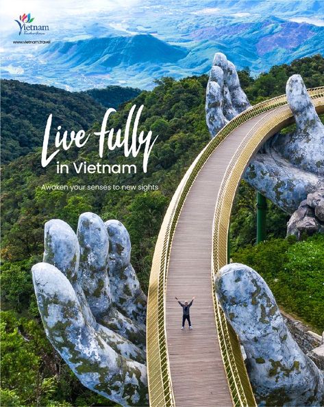 We are launching “Live fully in Vietnam” campaign and welcome international tourists back into the country. Five top tourism spots will re-open first: Phu Quoc, Nha Trang, Hoi An, Da Nang and Ha Long. 🇻🇳 #LivefullyinVietnam Nature, Da Nang, Hoi An, Ha Long, Hello Vietnam, Travel Flyer, Vietnam Tourism, Phu Quoc, Travel Packages