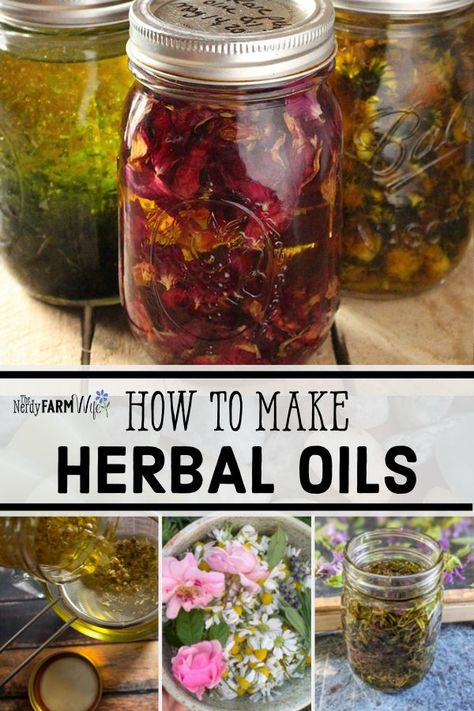 Herb Extracts How To Make, Herb Oils Homemade, How To Make Infused Oils, Echinacea Infused Oil, How To Make Herb Infused Oil, How To Make Infused Oils For Cooking, Making Infused Oils, Make Essential Oils Diy, How To Essential Oils