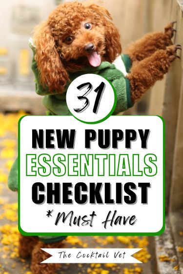 Puppy Care Tips, New Puppy Training, Dog Essentials Products, Puppy Necessities, Potty Training Schedule, Puppy Essentials, Puppy Announcement, Puppy Items, Puppy Feeding