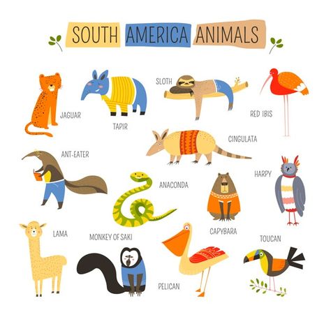 Argentina, Red Ibis, South America Animals, South American Rainforest, Birds For Kids, America Theme, Animals Vector, South American Art, Montessori Art