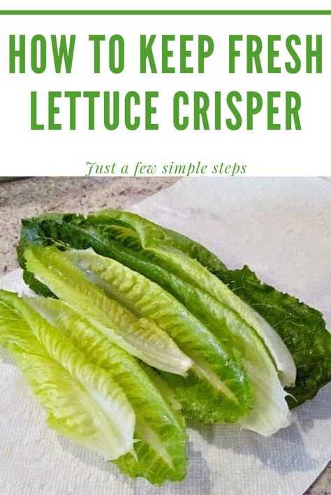 Lettuce Ideas Easy Recipes, Fresco, How To Keep Lettuce Crisp, Keep Veggies Fresh Longer, Keeping Romaine Lettuce Fresh, Best Way To Store Lettuce, How To Keep Romaine Lettuce Fresh Longer, How To Preserve Lettuce In The Fridge, How To Make Lettuce Last Longer