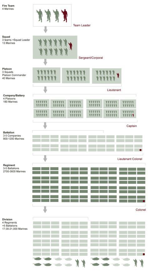US Military Structure Chart | Army Rank Structure | VetFriends.com Organisation, Small Unit Tactics, Marine Corps Rank Structure, Army Formation, Army Structure, Organization For Kitchen, Army Divisions, Army Ranks, Military Tactics