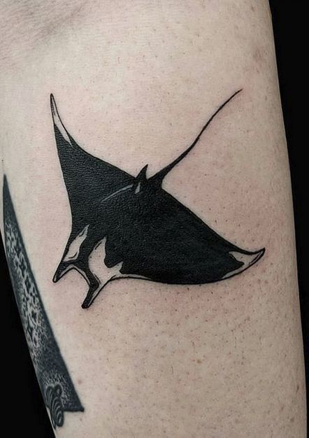 Manta Tattoo Manga Ray Back Tattoo, Traditional Manta Ray Tattoo, Giant Manta Ray Tattoo, Manta Ray Tattoo Back, Manta Rays Tattoo, Bat Ray Tattoo, Black Heart Tattoo Small, Manga Ray Tattoo, Cute Cover Up Tattoos