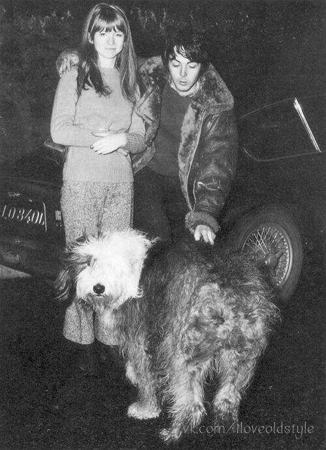 Old English Sheepdog, Martha My Dear, Beatles Girl, Jane Asher, Sir Paul, English Sheepdog, The Fab Four, Jim Morrison, Oui Oui