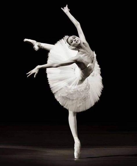 Tumblr, Ballet, Svetlana Zakharova, Bolshoi Ballet, Swan Lake, Log In, Log, Lake, Photographer