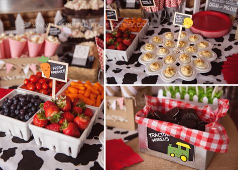 Aylah Turns 2 ~ A Farm Themed Birthday | Moments on the Blog Grazing Station Farm Birthday, Farm Birthday Party Snack Ideas, Barnyard Birthday Snacks, Farm Bday Party Food Ideas, Table For 2 Birthday Theme, Snacks For Farm Theme Party, Barnyard 1st Birthday Photoshoot, Farm Birthday Cake Table, Farm Birthday Outfit For Mom