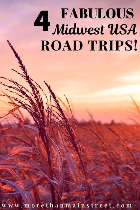 Is a road trip on your bucket list? Check out these 4 fun road trip ideas through the Midwest USA! #ohio #illinois #michigan #southdakota Fun Road Trip Ideas, Midwest Vacations, Midwest Road Trip, Road Trip Ideas, Michigan Road Trip, Usa Roadtrip, Usa Destinations, Trip Destinations, Custer State Park