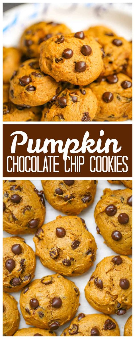 Old-Fashioned Pumpkin Chocolate Chip Cookies - Old-Fashioned Pumpkin Chocolate Chip Cookies like Grandma bakes! Pumpkin Chocolate Chip Cookies Cooking Classy, Soft Top Pumpkin Chocolate Chip Cookies, Pumpkin Chocolate Chip Desserts, Pumpkins Chocolate Chip Cookies, Chocolate Chip Pumpkin Cookies Recipes, Pumpkin Cookies With Chocolate Chips, Soft Baked Pumpkin Cookies, Chocolate Chip Cookies Pumpkin, Homemade Pumpkin Chocolate Chip Cookies