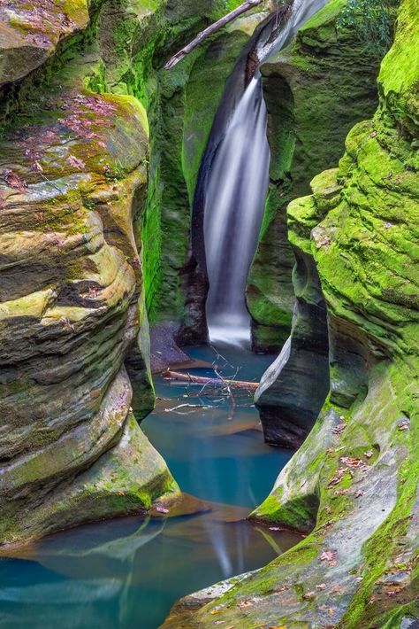 17 Most Beautiful Places to Visit in Ohio - The Crazy Tourist Nature, Places To Visit In Ohio, Ohio State Parks, Hocking Hills State Park, Ohio Travel, Hocking Hills, Beautiful Waterfalls, Nature Landscape, Beautiful Places To Visit