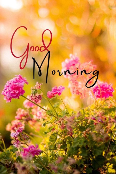 Pink Petaled flowers and some text that says 'Good Morning' Durgamma Photos, Good Morning Rose Images, Good Mornings Exercise, Latest Good Morning Images, New Good Night Images, Special Good Morning, Latest Good Morning, Good Morning Gorgeous, Good Morning Flowers Quotes