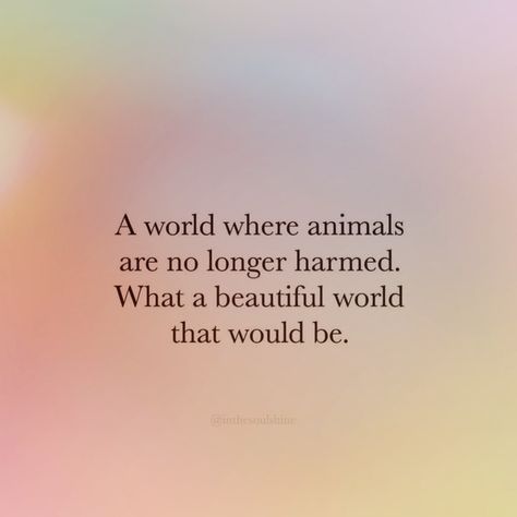 Saving Animals Quotes, Animal Welfare Quotes, Quotes About Animals, Animal Lover Quotes, Environment Quotes, Vegan Facts, Respect Life, Vegan Vibes, Dog Quotes Love