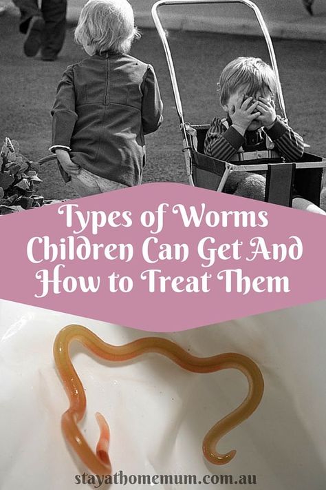 Is your child scratching their bottom…a lot? Chances are, they might have worms! How To Get Rid Of Tapeworms In Humans, De Worming Humans, Pin Worms How To Get Rid Of, How To Get Rid Of Worms In Humans, How To Deworm Yourself Naturally, Deworming Humans Diy, How To Get Rid Of Ring Worm Fast, Natural Dewormer For Humans, Tape Worm In Humans