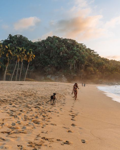 Click here for a comprehensive guide to visiting the sleepy surf town of San Pancho, Nayarit in Western Mexico. where to eat in san pancho | getting to san pancho | where is san pancho | riviera nayarit | things to do in san pancho | bars in san pancho | travel guides for san pancho mexico Puerto Vallarta, San Pancho Mexico, Surf Town, Ocean View Balcony, Mexico Travel Guides, Mexico Beach, Girls Getaway, Whale Watching, Travel Friends