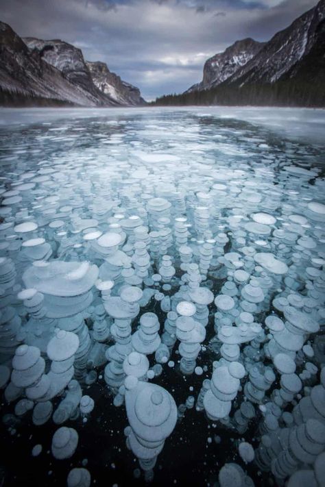 Methane Bubbles, Canadian Lakes, Frozen Bubbles, Abraham Lake, Frozen Lake, Artistic Images, Banff National Park, Natural Phenomena, Alberta Canada