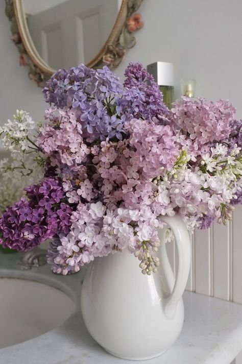 Clockwise from upper right: Pale pink ‘Maiden’s Blush,’ common white, double-flowered ‘Beauty of Moscow,’ ‘Monge,’ common white, ‘President Grevy’ (blue), and common purple. Tattoo Inspiration, Wedding Decor Vases, Wallpaper Islami, Lilac Bouquet, Inspiration Tattoos, Wedding Vases, Lilac Flowers, Deco Floral, Arte Floral