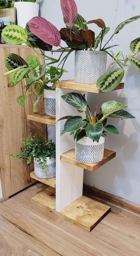 Looking for plants like this?!   
🤩🤩
Check out my housplant boutique! 👇🏾👇🏾
https://www.melaninandmeadows.com Flower Shelves Indoor, Bathroom Plants Shelf, Wooden Flower Stand Design, Wood Pot Stand, Wood Stand For Plants, Wooden Stand For Plants, Pot Stands Indoor, Wooden Shelves Living Room, Diy Tiered Plant Stand