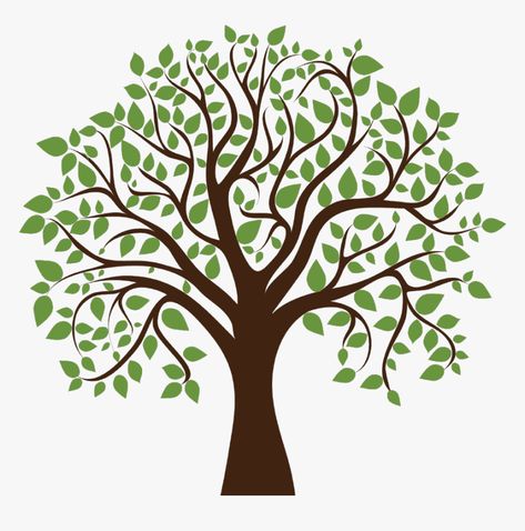 Family Tree Background, Family Tree Images, Family Tree Clipart, Family Tree With Pictures, Family Tree Designs, Family Tree Art, Christmas Tree Background, Family Tree Genealogy, Picture Tree