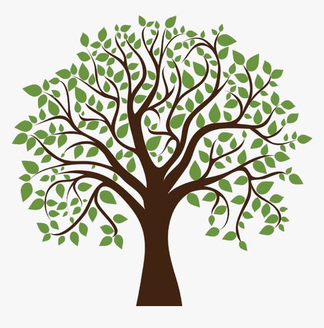 Family Tree Background, Tree Vector Png, Family Tree Images, Family Tree Clipart, Family Tree With Pictures, Family Tree Designs, Family Tree Art, Christmas Tree Background, Family Tree Genealogy