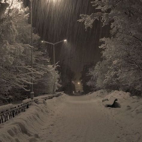 #snow #darkacademia #winter #chill #cold #aesthetic Trees, Street Lights, Winter Aesthetic, At Night, I Hope, Road