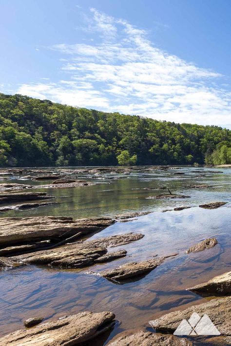 East Palisades Trail: hike to gorgeous Chattahoochee River views and a bamboo grove in Atlanta #hiking #running #trailrunning #atlanta #georgia #travel #outdoors #adventure Georgia Hiking, Background References, Running Trails, Games Journey, Atlanta Travel, Travel Georgia, Bamboo Grove, Reference Ideas, Chattahoochee River