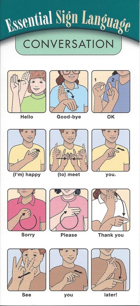 Sign Language Conversation, Asl Sign Language Words, Simple Sign Language, Sign Language Chart, Sign Languages, Sign Language Phrases, Bahasa Jepun, Materi Bahasa Jepang, Sign Language Words