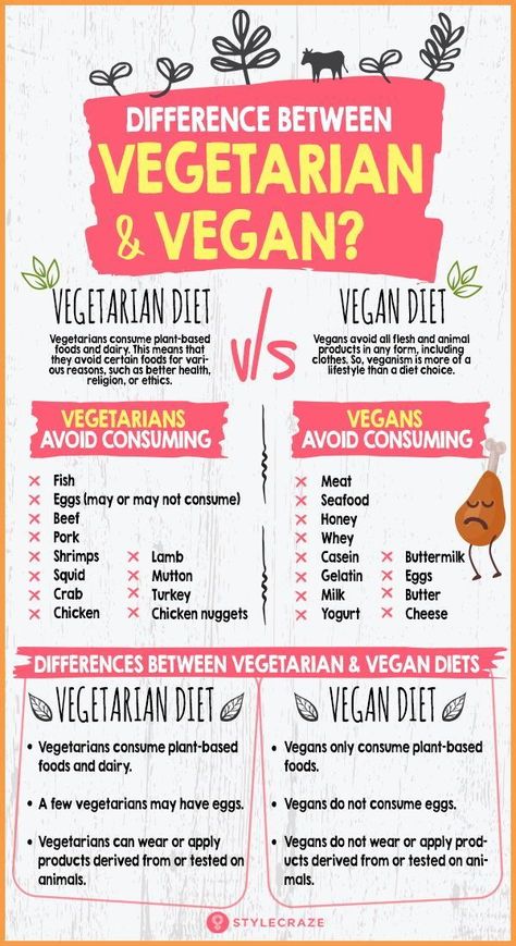 What Is The Difference Between Vegetarian And Vegan Diets? #healthy #food Vegetarian Vs Vegan, Honey Pork, Low Carb High Fat Diet, Best Diet Foods, Healthy Eating Diets, Vegetarian Lifestyle, Baking Soda Beauty Uses, Best Fat Burning Foods, Vegan Nutrition