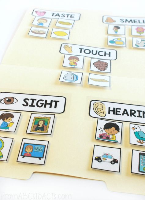 5 Senses Sorting Game (From ABCs to ACTs) Science Activities For Kindergarteners, Folder Games For Toddlers, 1st Wedding Anniversary Gift For Him, Activities For Kindergarteners, 5 Senses Preschool, Five Senses Preschool, 5 Senses Activities, Diy Birthday Gifts For Him, Kindergarten Science Activities