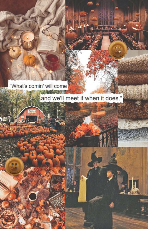 #harrypotter #hogwarts #fall #autumn #moodboard #pumpkin #sweater #halloween Tumblr, Nature, Fall Hogwarts Wallpaper, Harry Potter Fall Aesthetic Wallpaper Iphone, Harry Potter Autumn Aesthetic Wallpaper, Autumn At Hogwarts, Halloween Moodboard Aesthetic, Hogwarts Halloween Wallpaper, Fall Hogwarts Aesthetic