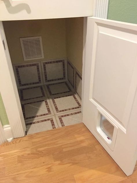 Litter Room Ideas, Small Laundry Room Litter Box Ideas, Cat Box Location Ideas, Closet Kitty Litter, Concealing Litter Box Ideas, Cat Box Hidden Ideas, Cat Built In, Kitty Litter Closet Ideas, Closet Cat Litter