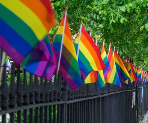 How the Stonewall Riots Changed the Gay Rights Movement | The Everygirl Sylvia Rivera, Second Wave Feminism, Gay Rights Movement, Stonewall Inn, Stonewall Riots, Pride Week, Gay History, Gay Pride Parade, Love Always Wins