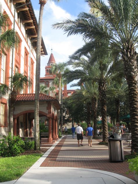 flagler college Flagler College Aesthetic, Flagler College, University Of Tampa, Application Essay, College Fits, College Aesthetic, Essay Prompts, Dream College, Dream School