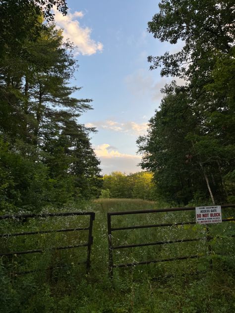 Nature, Pine Woods Aesthetic, Rural House Aesthetic, Rural New England, Rural New York, Rural England Aesthetic, Rural Midwest Aesthetic, Rural America Aesthetic, New Hampshire Aesthetic