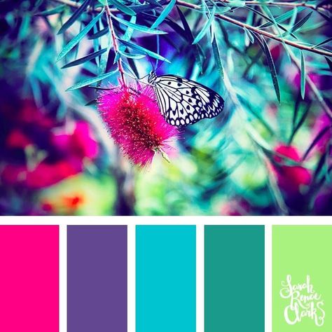 Spring color ideas | 25 color palettes inspired by the PANTONE color trend predictions for Spring 2018 – Use these color schemes as inspiration for your next colorful project! Check out more color schemes at www.sarahrenaeclark.com #color #colorpalette Color Catalog, Spring Color Palette, Color Schemes Colour Palettes, Color Palate, Color Palette Design, Colour Pallette, Colour Pallete, Color Swatches, Colour Schemes