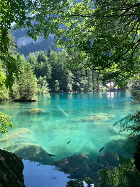 Zermatt, Blausee Switzerland, Drømme Liv, Pretty Landscapes, Switzerland Travel, Dream Travel Destinations, Beautiful Places To Travel, Travel Goals, Beautiful Scenery