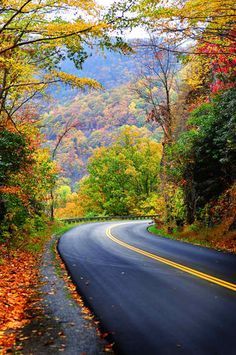 Beautiful Autumn bend. Era Victoria, Road Pictures, फोटोग्राफी 101, तितली वॉलपेपर, Blur Photo Background, Beautiful Roads, Trip Planner, Dslr Background Images, Autumn Scenery