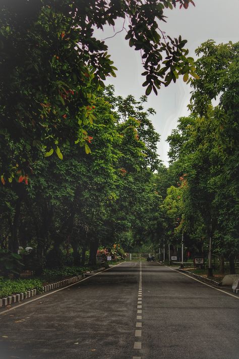 Empty roads often lead to a beautiful destination! Nature, Empty Road, Watercolor Landscape, Happy Place, Beautiful Destinations, Happy Places, Kerala, Beautiful Places, Country Roads