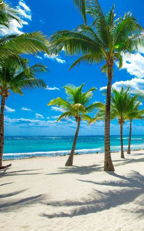 Dominican Republic Beaches, Punta Cana Travel, Dominican Republic Vacation, Punta Cana Beach, Dominican Republic Travel, Sky Day, Quintana Roo Mexico, Beach Place, Beach Picture