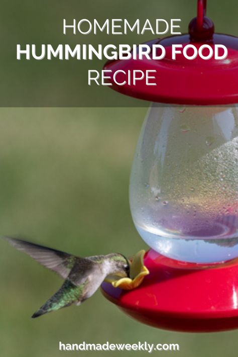 Recipe For Hummingbird Food, Hummingbird Feeder Recipe, Hummingbird Mix, Hummingbird Food Recipe, Sugar Water For Hummingbirds, Make Hummingbird Food, Homemade Hummingbird Nectar, Homemade Hummingbird Feeder, Homemade Hummingbird Food