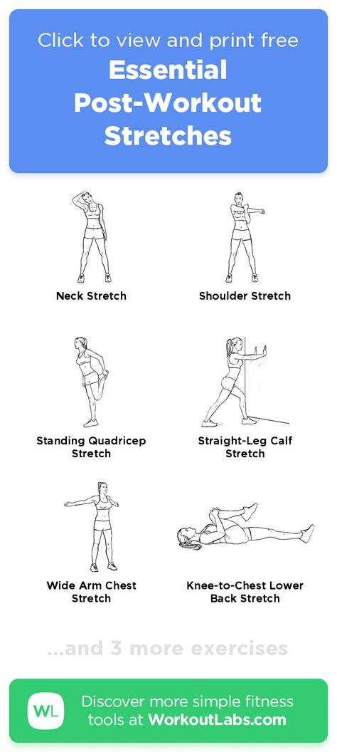 Stretches Workout, After Workout Stretches, Pre Workout Stretches, Workout Stretches, Workoutlabs Fit, Quick Morning Workout, Post Workout Stretches, Workout Labs, Morning Activities