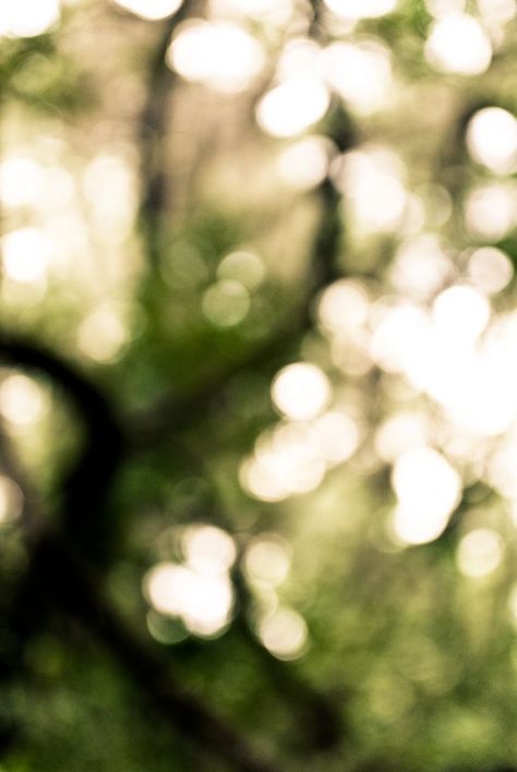 Light Through Trees, Blurred Photos, Blurred Lights, Blur Image, Wallpaper Images Hd, Bokeh Photography, Blur Photo Background, Blur Photo, New Background Images