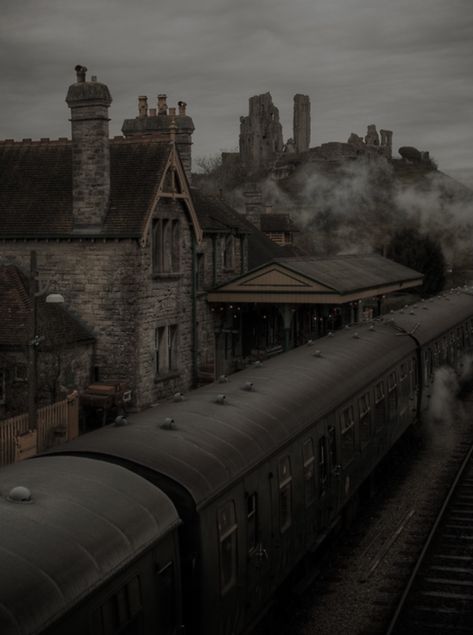 Colin Creevey, Black Academia, Dark Acedemia, Dark Acadamia, Hogwarts Aesthetic, Photography Book, Dark Academia Aesthetic, Academia Aesthetic, Autumn Aesthetic